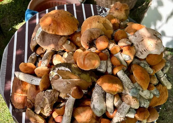 Holiday park W Osrodku Taurus Nad Jeziorem Lubie